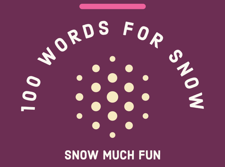 100 words for snow - poster-3